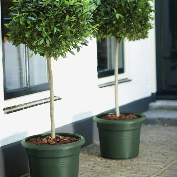 Elho Green Basics Cilinder 55cm Leaf Green – Image 2